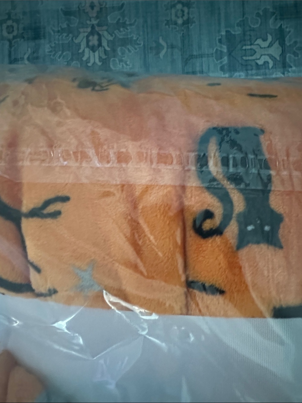 Berkshire Haunted House Oversized Velvet soft Throw Blanket 60”x 70” Halloween - Picture 6 of 6